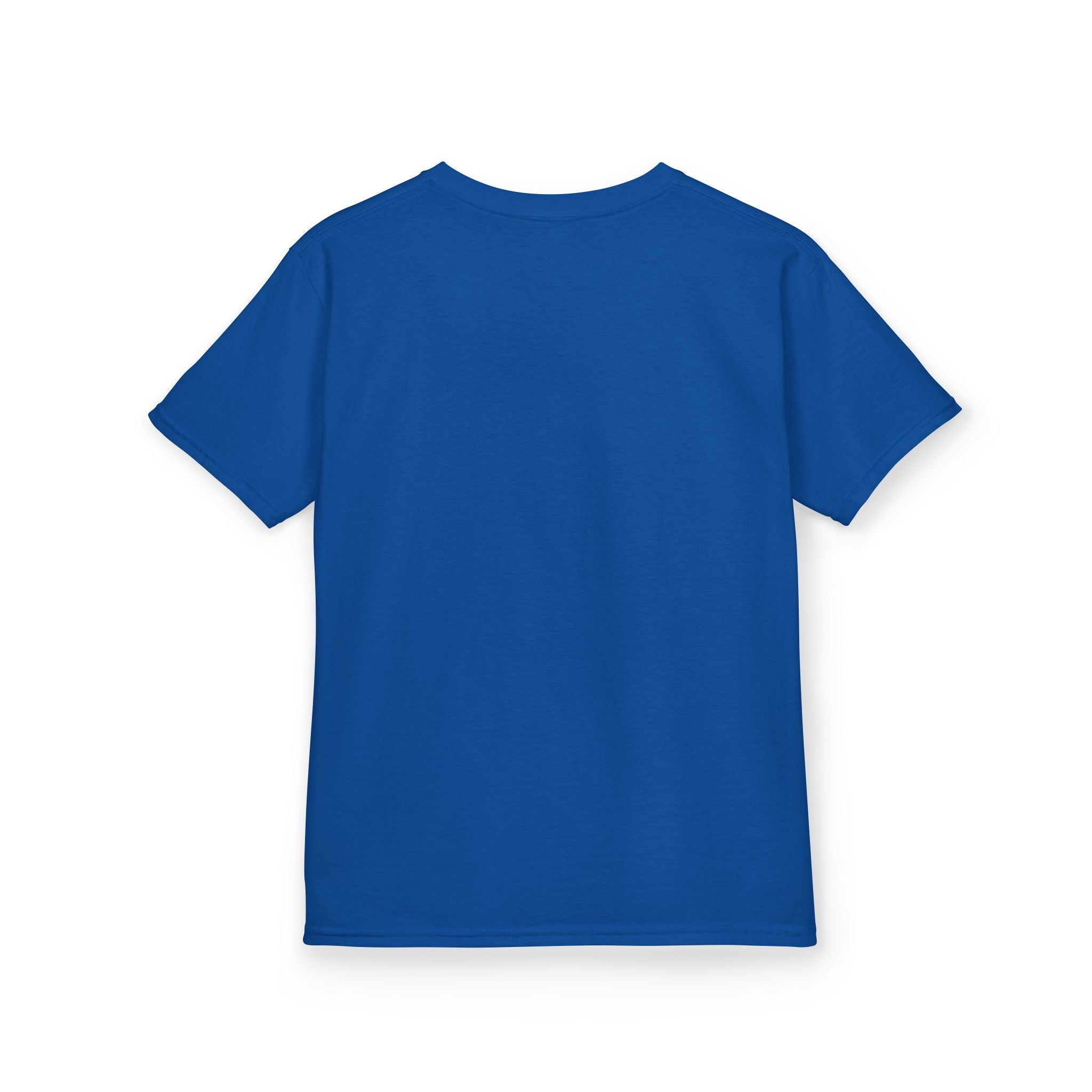 Kids Tee  "If you can dream it, you can do it." Aurora created Inspirational Shirt